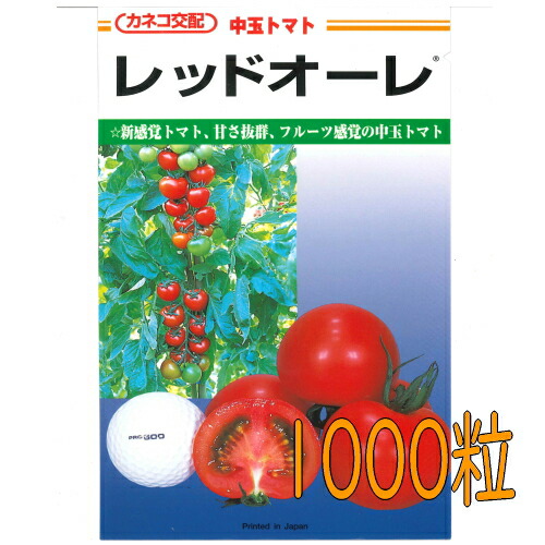 【入荷次第出荷】カネコ種苗　レッドオーレ　トマト　１０００粒