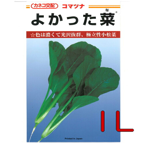 【入荷次第次第にさし出し】カネコ種苗 よかった菜 小松菜 １Ｌ