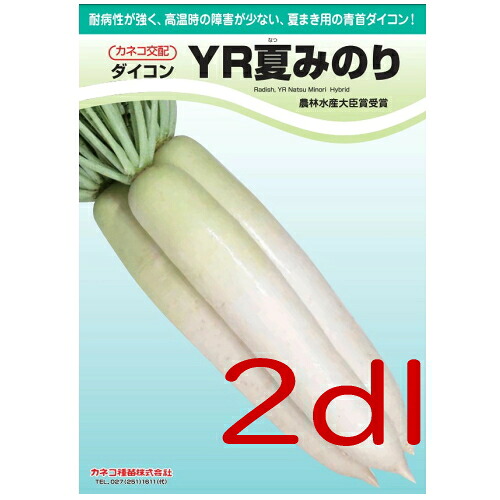 【入荷次第次第に積みだし】カネコ種苗 ＹＲ夏みのり大根役者 ２ｄｌ