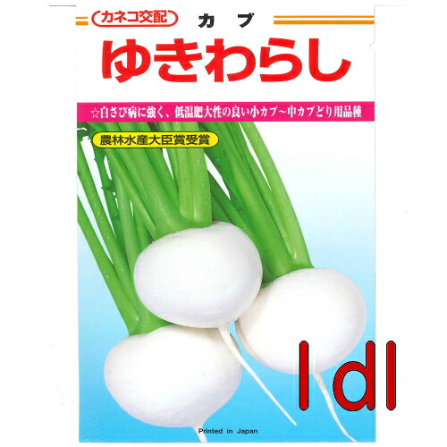 【入荷次第次第に積みだし】カネコ種苗 ゆきわらし 蕪 １ｄｌ