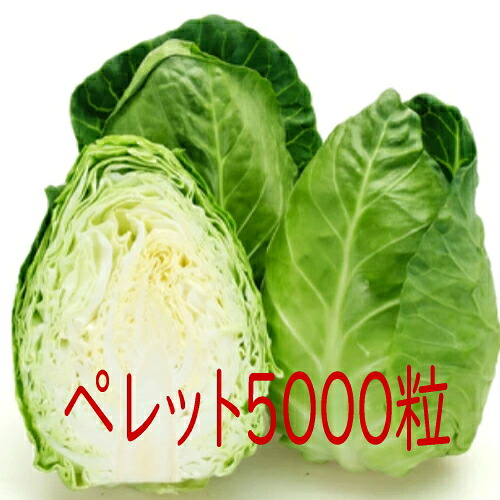 【入荷次第出荷】カネコ種苗 ユニコーン キャベツ ペレット5000粒|トキワカメラ