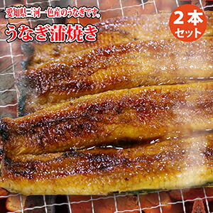 <br>うなぎ蒲焼き ２本セット｜鰻、愛知県産ウナギかば焼き