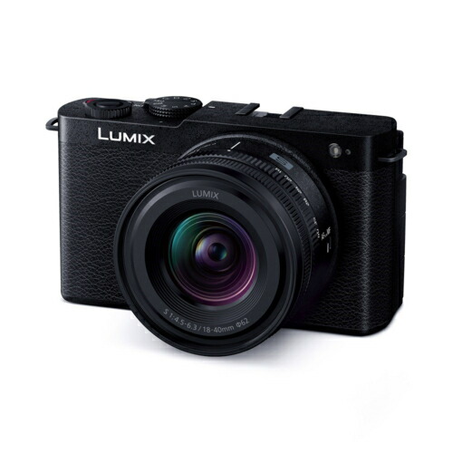 【長期5年保証付】パナソニック Panasonic LUMIX S9 DC-S9N-K ジェットブラック デジタル一眼カメラ 広角ズームレンズキット DCS9NK