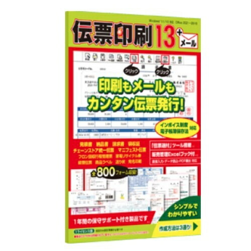 結核症株式会社  勘定書き刷り上げる 13 書き出し仕組み･陰電子会計帳簿保護すること法相応う CIDD54_SP
