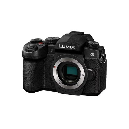【長期5年保証付】パナソニック Panasonic LUMIX DC-G99M2 ボディ マイクロフォーサーズ デジタル一眼カメラ DCG99M2