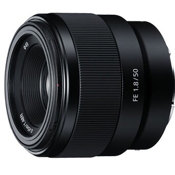 ソニー SONY FE 50mm F1.8 SEL50F18F Eマウント用 フルサイズ 単焦点レンズ SEL50F18F｜特価COM