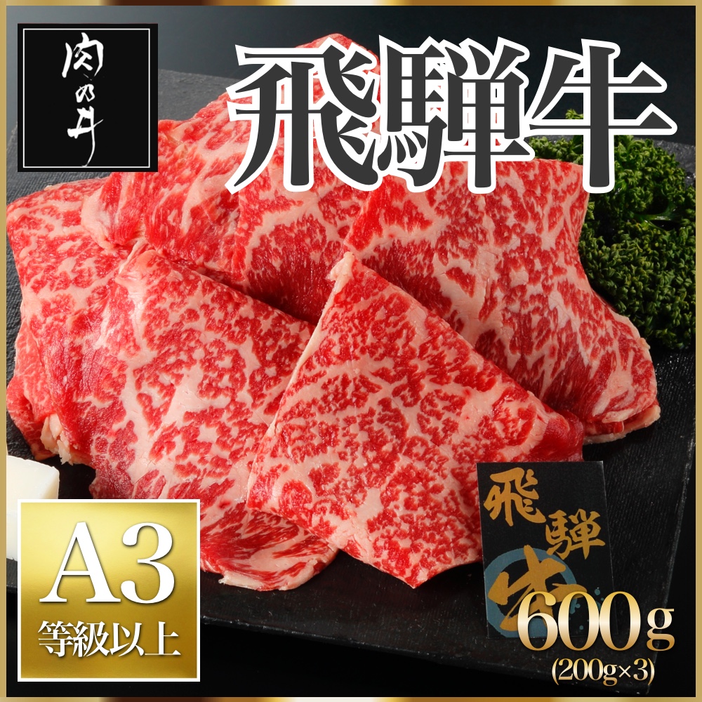 値引 飛騨牛 600g 焼肉 すき焼き しゃぶしゃぶ A3ランク以上 父の日 贈答 お中元 均一 Tokka トッカ 工場直送 Volfgr Com