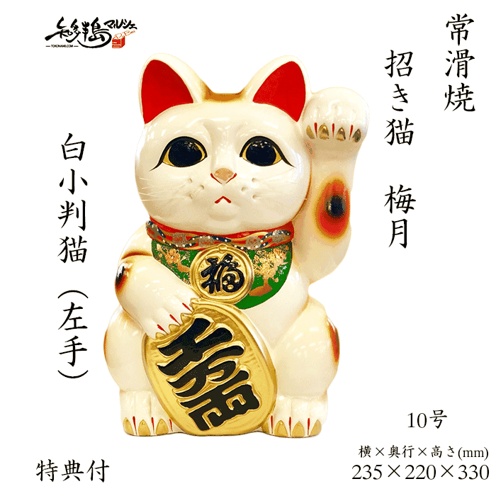 楽天市場】梅月 白小判猫 5号 左手 手描きひげ【常滑 招き猫 陶器