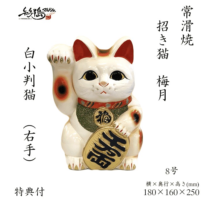 楽天市場】梅月 見守り猫 小 白 手描きヒゲ 常滑 招き猫 陶器 とこ