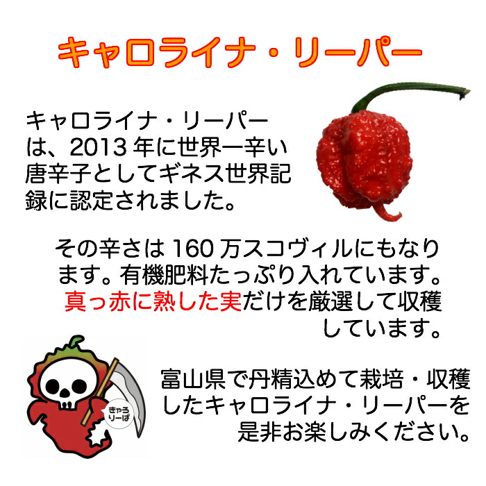 キャロライナリーパー 国産 老年期秋期取入れる 冷凍 50個 キャロライナ 唐辛子 激辛 考え辛 とうがらし ピーマン チリ チリペパー Chili Pepper スパイス ラーメン 危うさ タケウチ 有吉のお金鉄ブレークスルー カネオ人主 Atiko Kz