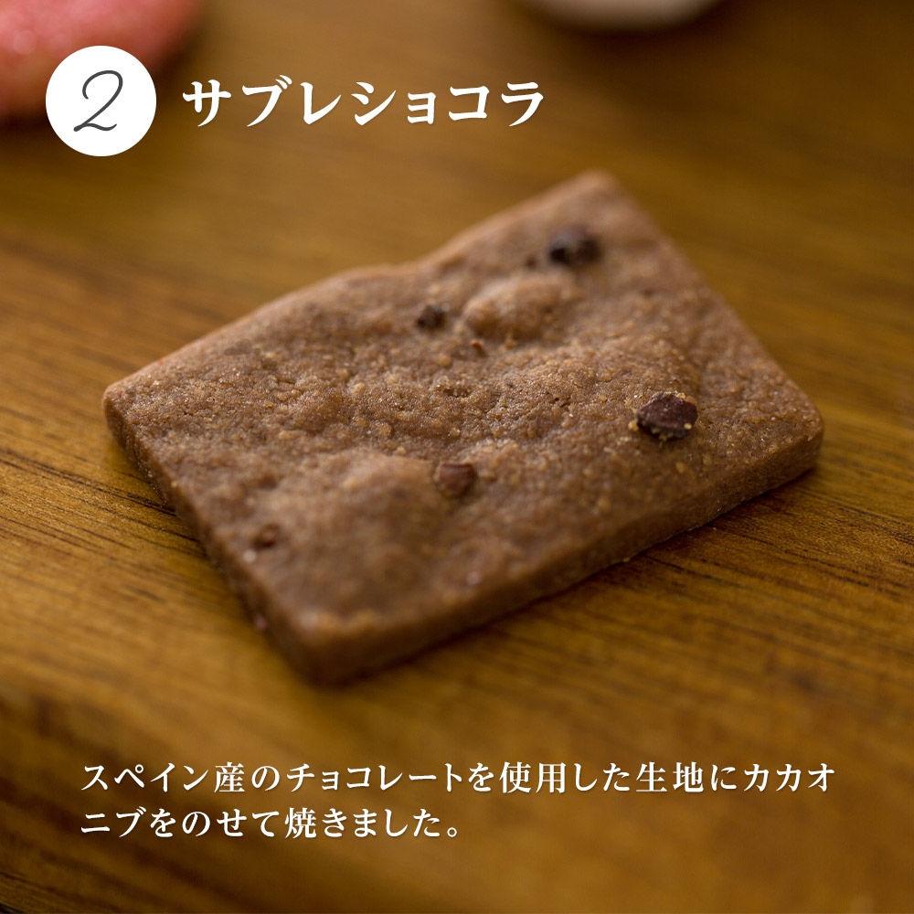 クッキー缶 パリ子缶 クッキー サブレ チョコ フランボワーズ