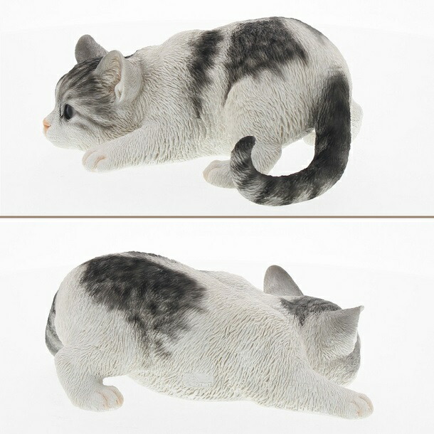 郵便物有能マッチ不可 ベニーズキャット 獲物を向ける サバ白いこと 褐色トラ ミケ クロ 飾り マスコット オブジェ 猫 ねこ 猫 ちびネコ 子ネコ Cat サバ サバネコ 茶トラ インテリア スイート キュート 特殊 鳥獣 珍獣 簡易 洒落 雑貨 御土産 頂戴物 Hotjobsafrica Org
