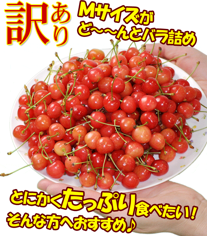 訳ありさくらんぼ、佐藤錦、小粒、Mサイズ、産地直送、送料無料、山形県