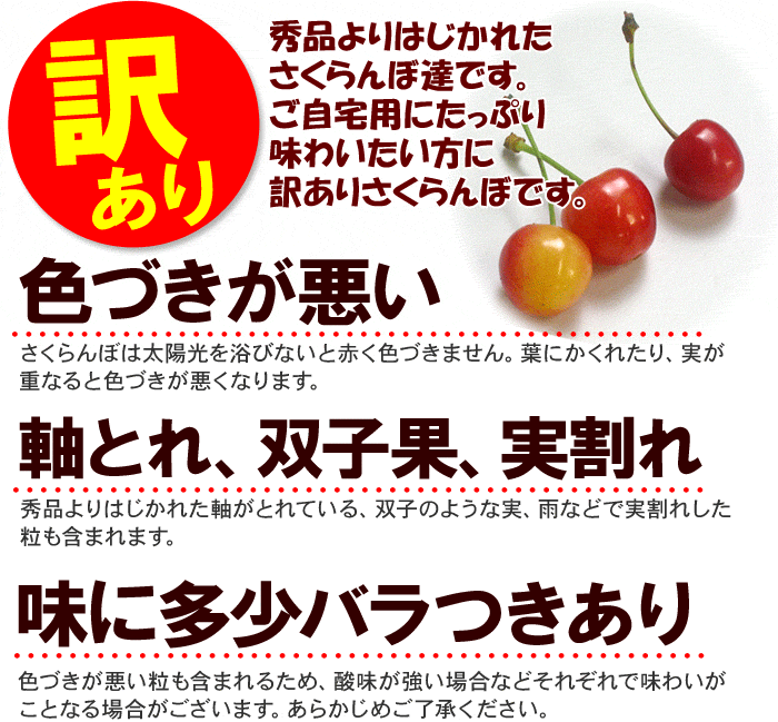 訳ありさくらんぼ、佐藤錦、小粒、Mサイズ、産地直送、送料無料、山形県