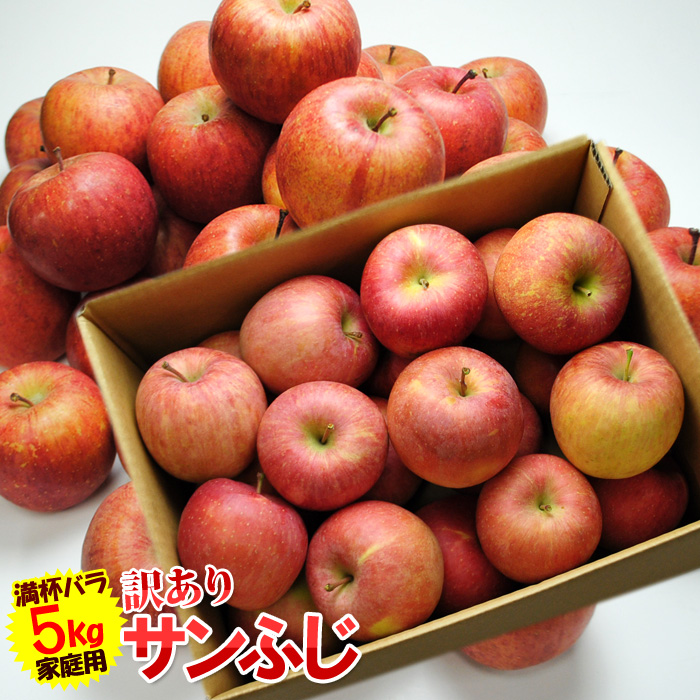 送料無料　訳あり　サンふじ　約5kg　バラ詰め　林檎、りんご、リンゴ、ふじ、フジ