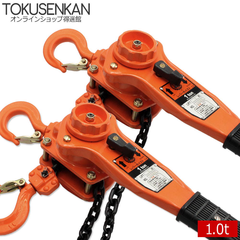 レバーホイスト 1t 2台 工具 レバー 1トン ローラー 1.0t 1000kg 荷締機 滑車 がっちゃ 固定 ブロック 1ton ホイスト