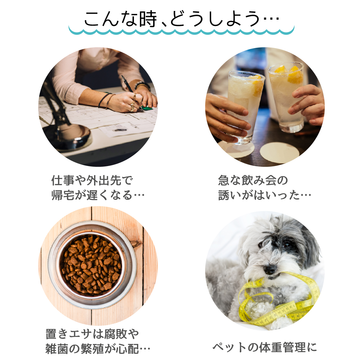 自動給餌機 カメラ付き スマホ操作 食事管理 Iphone ステンレス 対応 遠隔操作 会話 猫 録画 ペット ペットフィーダー オートマチック 暗視カメラ アプリ連動 日本語対応アプリ Ios 犬 自動餌やり機 呼びかけ 静止画撮影 多機能 Android