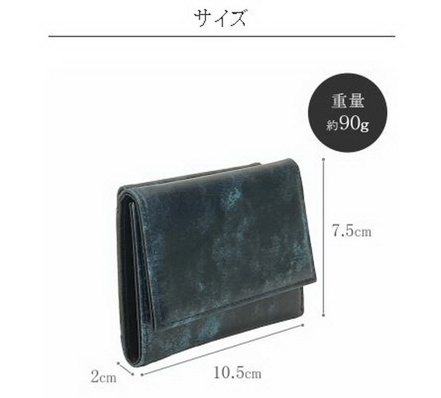10005604 GPC0215 ゴールドファイル 札入 チョコ Amazon.co.jp: [ゴールドファイル] 札入 チョコ : ファッション