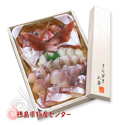 送料無料 天然鳴門鯛 きらびき工房 冷凍鯛しゃぶセット 徳島魚類 冷凍便同梱不可/お中元/お歳暮/お祝い