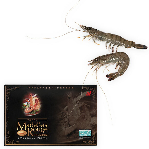 永遠のえび マダガスルージュ・プレミアム 31/35 1Kg化粧箱入り(約30g/尾 31～35尾入り)