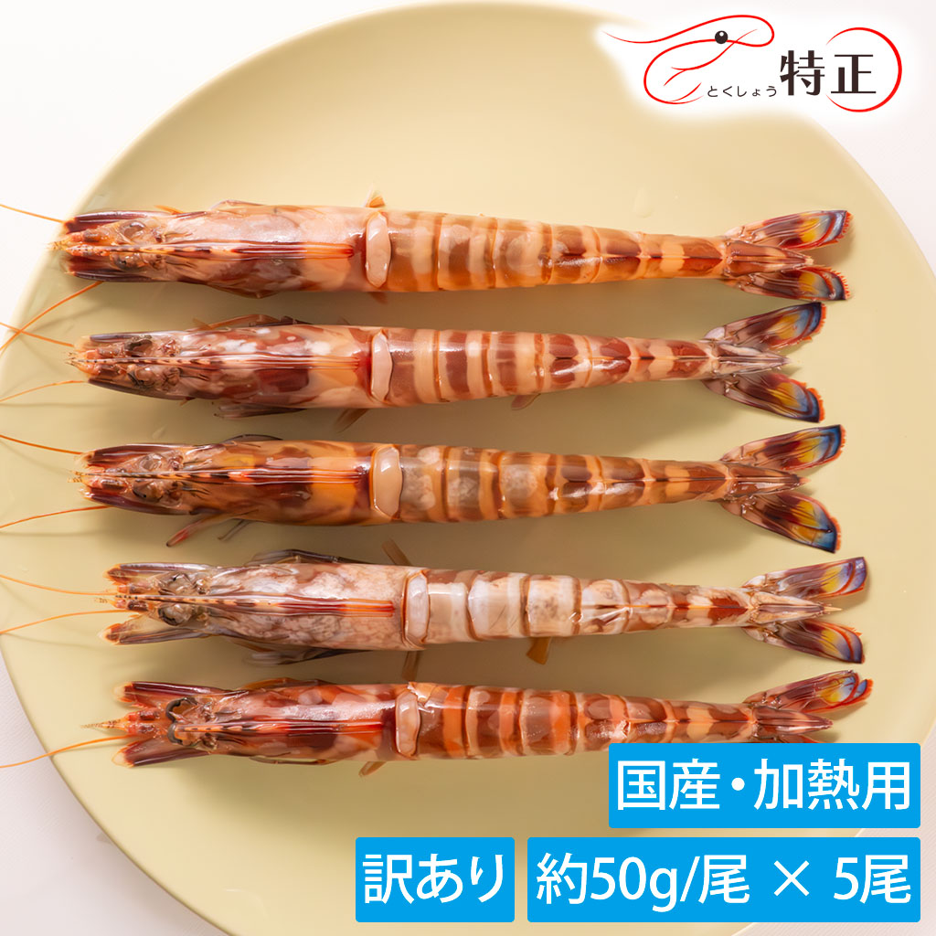 楽天市場】【訳あり・送料込み】国産大型車えび(約50g/尾) 活〆冷凍