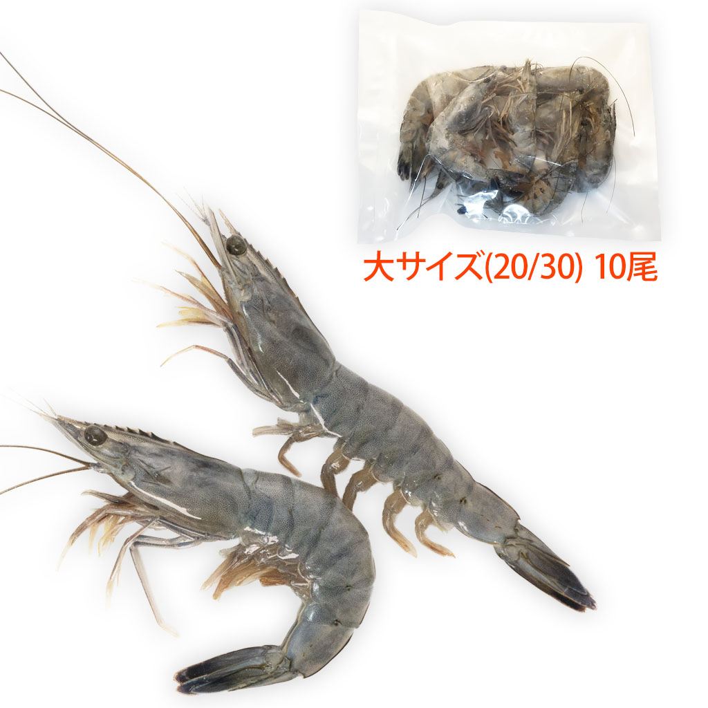 【大型配送タイプ】白洲迅さん掲載ページ（A3サイズ配送）#73051 大型配送タイプ】白洲迅さん掲載ページ（A3サイズ配送）#73051