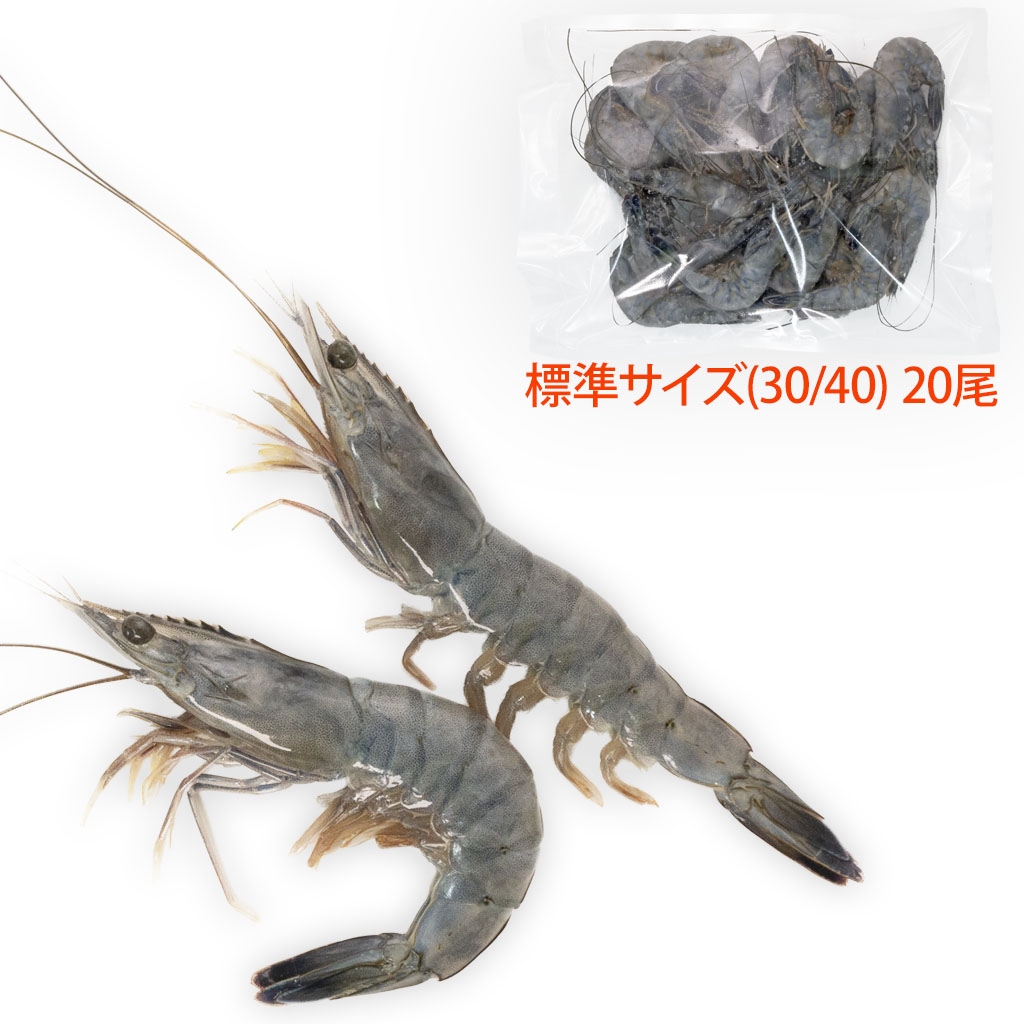しょう　天使の海老2kg ss_tenshi3040_20tp.jpg