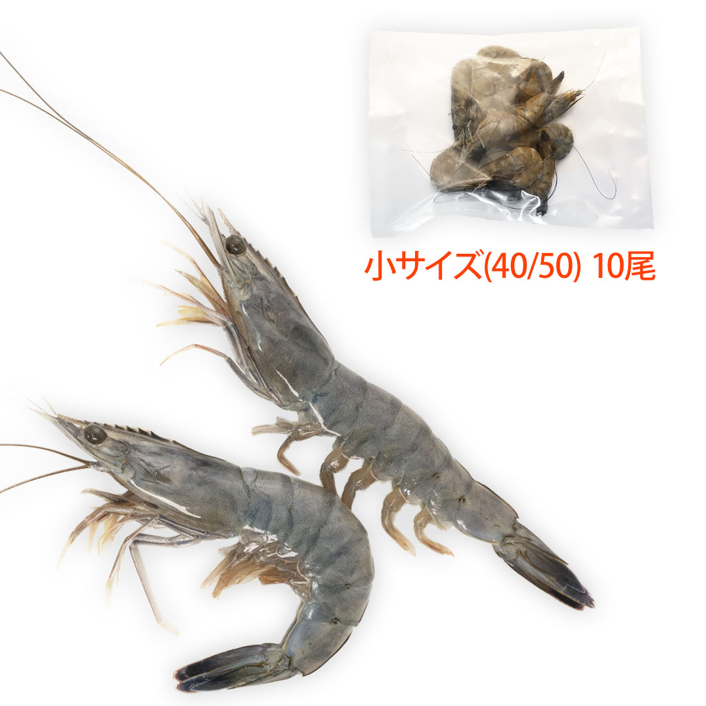 エビ中　エビスジャケットXLサイズ ジャンボサイズ11cm前後！特大赤えび開きたっぷり20枚入り 生食用 赤