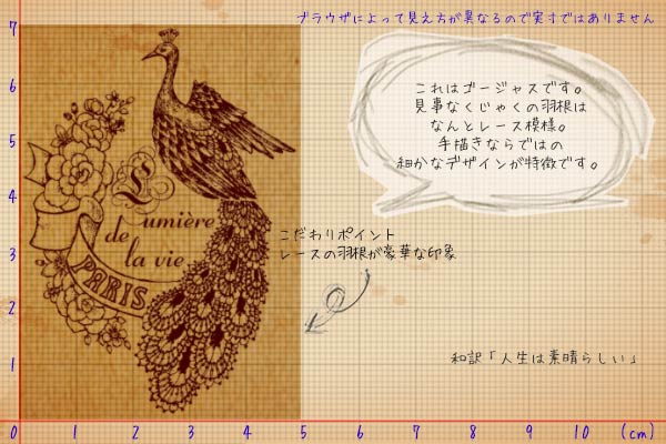 楽天市場 年賀 暑中見舞いにも孔雀の挨拶メッセージ 豪華 スタンプ はんこ メール便ok 東京アンティーク