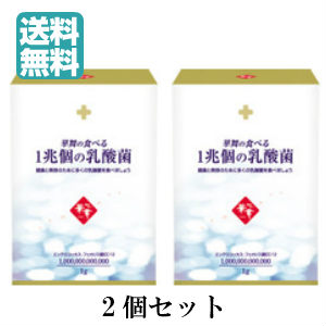 送料無料　2個セット 【華舞 一兆個の乳酸菌 （1gX30包）×2個】 brAFC 乳酸菌　1兆個の乳酸菌　健康　美容　　エンテロコッカスフェカリス　afc