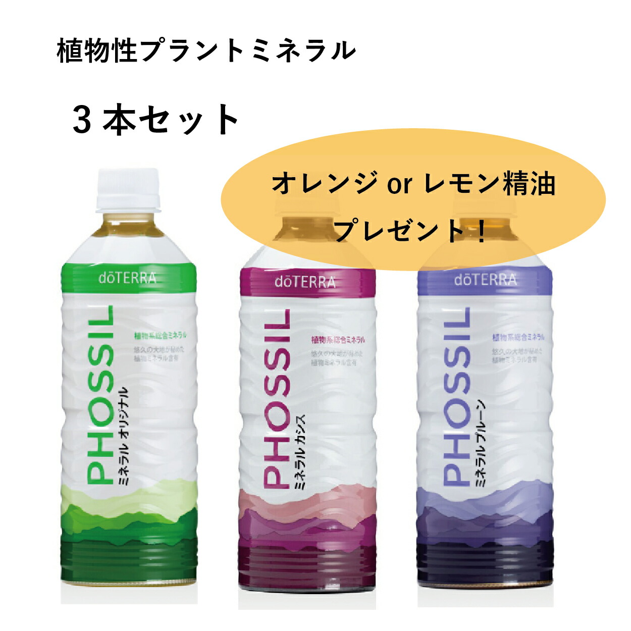 doTERRA ミネラル カシスとピンクパイン味のセット - その他