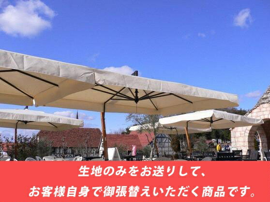 【御張り替え用出どころ単品売りわたす】イタリア共和国FIM社/カプリレーニョ（国内真似形版）※校庭出どころ（サンブレラ社製象牙色）のみご申し入れとなります。