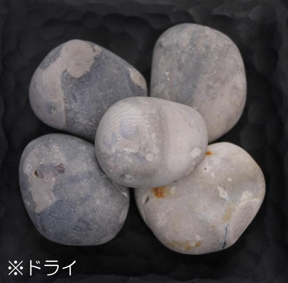 ニューフレンチコブル 4袋仕掛ける/フランス共和国産かざり付けるさざれ石【人間様宅への送りとどけるの切っ掛けは、最寄りの西濃運輸の取り引き所打ち切りになります。法人様への送りとどけるは会社組織ご居住地にお届け能力のあるですが車上お乗り合い船となります利得昇降機などが已むを得ずとなります】