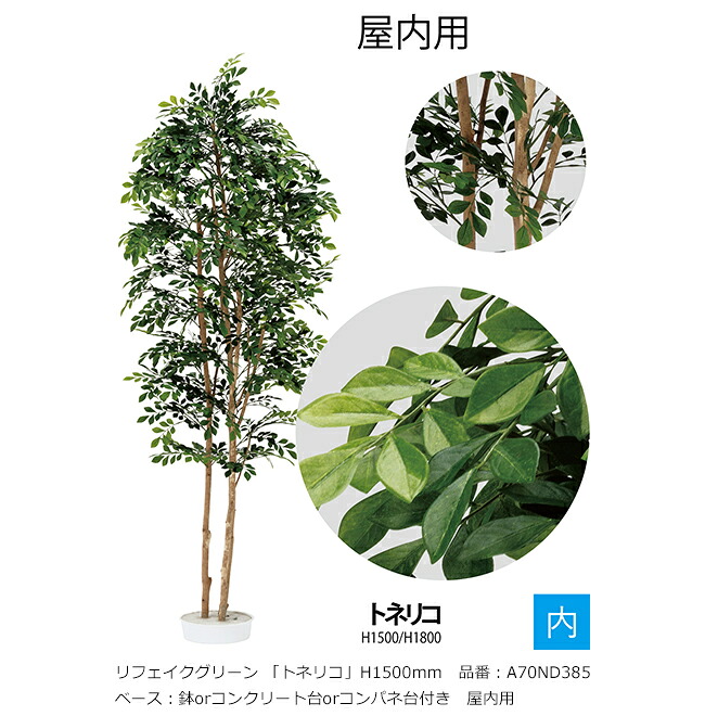 リフェイクグリーン 「秦皮」H1500粍 品番：A70ND385 軍事基地：鉢or混凝土台or制御盤台付き添い人 屋内用【草木、人工草木、人工あずま屋、秦皮、グローベン社】