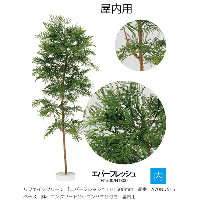 リフェイクグリーン 「エバーフレッシュ」H1500粍 品番：A70ND515 軍事基地：鉢or混凝土台or制御盤台付き添い人 屋内用【草木、人工草木、人工あずま屋、エバーフレッシュ、グローベン社】