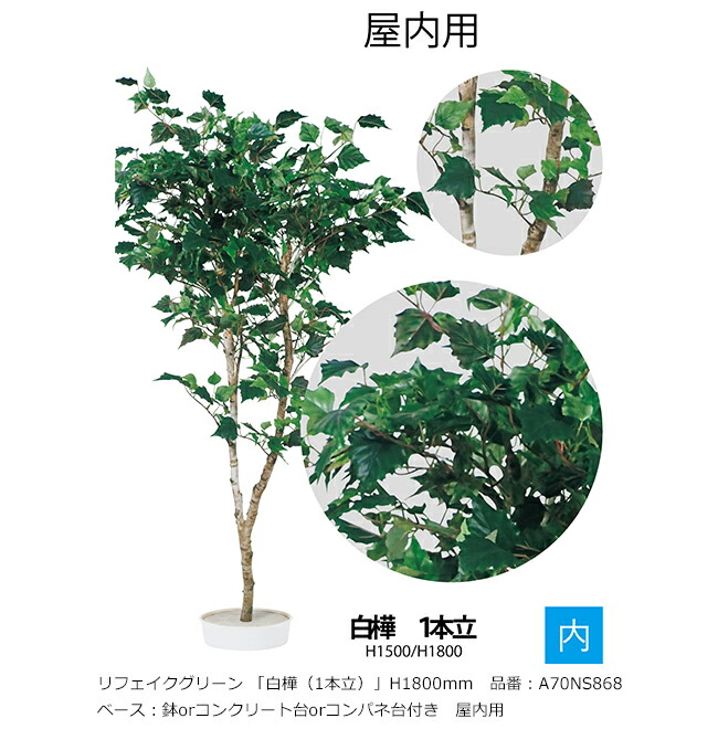 リフェイクグリーン 「白樺（1本立）」H1800粍 品番：A70NS868 軍事基地：鉢or混凝土台or制御盤台付き添い人 屋内用【草木、人工草木、人工あずま屋、白樺、グローベン社】