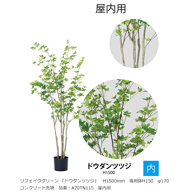 リフェイクグリーン 「ドウダンツツジ」H1500粍 専用鉢H150 φ170 混凝土詰め直す 品番：A70TN115 屋内用【草木、人工草木、人工あずま屋、ドウダンツツジ、グローベン社】