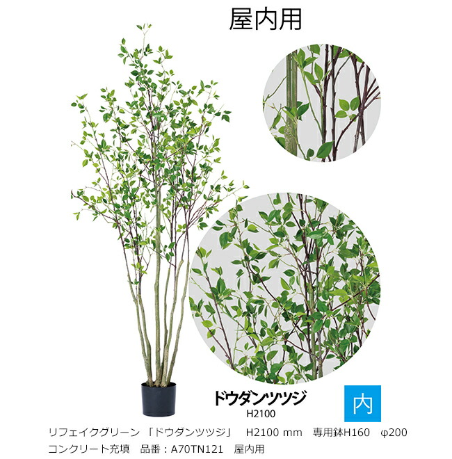 リフェイクグリーン 「ドウダンツツジ」H2100粍 専用鉢H160 φ200 混凝土詰め直す 品番：A70TN121 屋内用【草木、人工草木、人工あずま屋、ドウダンツツジ、グローベン社】
