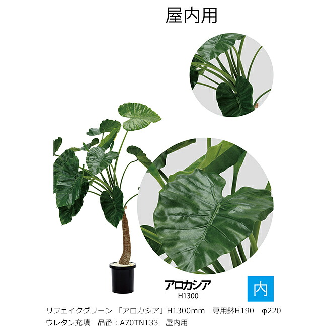 リフェイクグリーン 「アロカシア」H1300mm　専用鉢H190　φ220　ウレタン充填　品番：A70TN133　屋内用【植物、人工植物、人工樹木、アロカシア、グローベン社】｜東京ガーデニングスタイル 29,770円