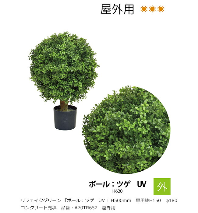 リフェイクグリーン 「どんぶり鉢：ツゲ UV」H500粍 専用鉢H150 φ180 混凝土詰め直す 品番：A70TR652 室外用【草木、人工草木、人工あずま屋、ツゲ、グローベン社】