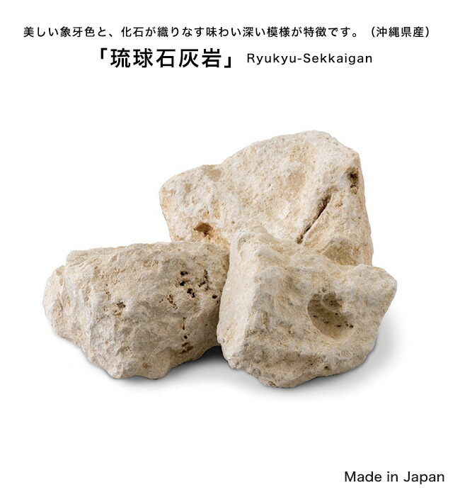 楽天市場】ガーデンストーン コーラル（琉球石灰岩）白い石 ホワイト