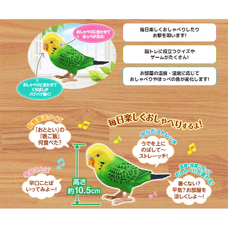 Takara Tomy タカラトミー ヒーリング棒組み 毎日おしゃべり 才知インコ父ちゃん 面白い 眩い ラッパ 癒し 和み 貨物輸送無料 Daemlu Cl