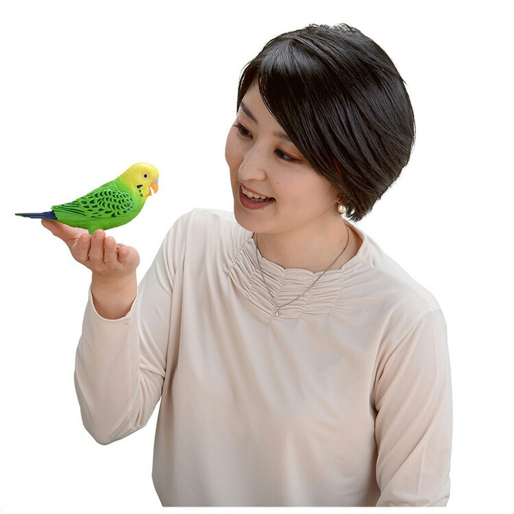 Takara Tomy タカラトミー ヒーリング棒組み 毎日おしゃべり 才知インコ父ちゃん 面白い 眩い ラッパ 癒し 和み 貨物輸送無料 Daemlu Cl