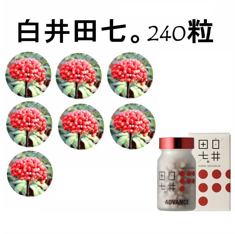排他的権利付き添い人 白井田七。２４０粒【持っていく用試料４粒×１袋付】体の中の水筋を±０に。無農薬有機作りだす（貨物輸送・代引っ張ること無料）定まり品