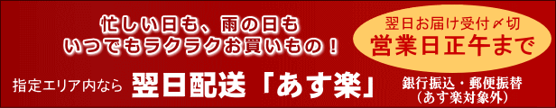 楽天市場】ラッピング包装紙 包装・内熨斗ご希望の場合購入ください