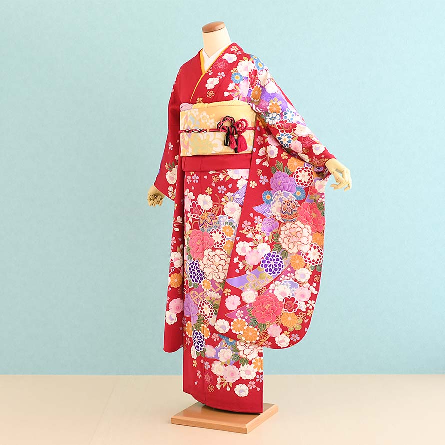 【卒園卒式＆はいり込む式特集】うしろ帯御召しもの賃借