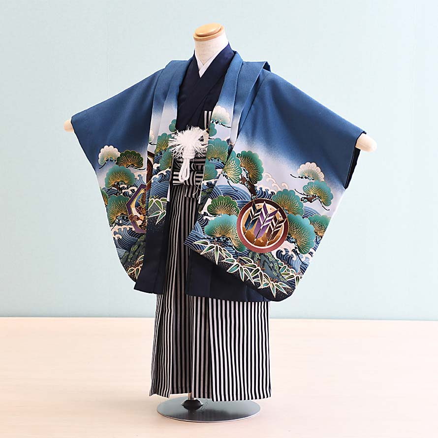 【卒園卒式＆はいり込む式特集】御姉さんお召しもの賃借