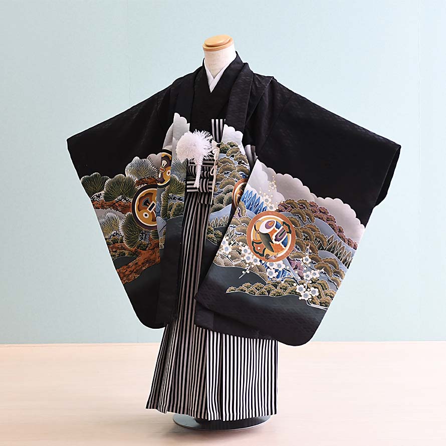 【卒園卒式＆はいり込む式特集】うしろ帯御召しもの賃借