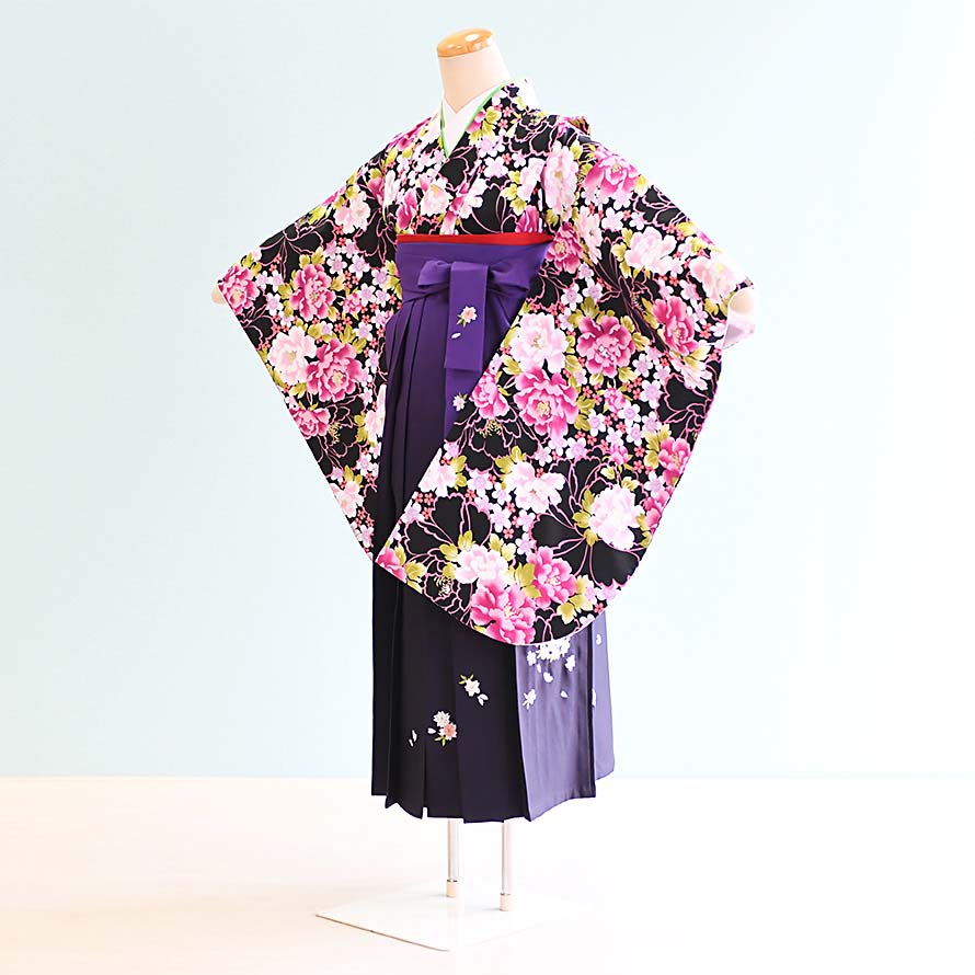 【卒園卒式＆はいり込む式特集】御姉さんお召しもの賃借