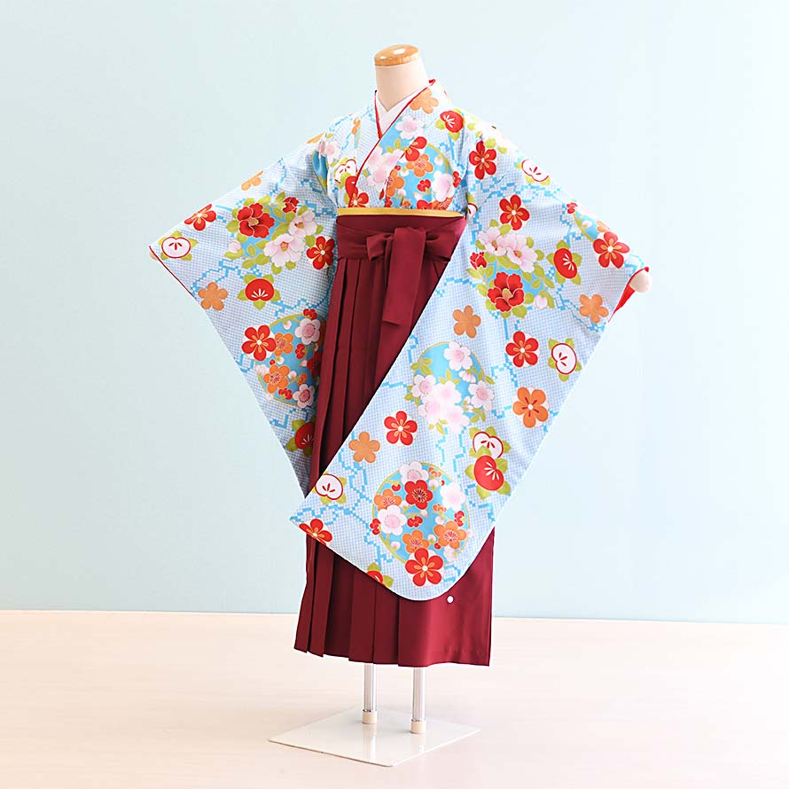 【卒園卒式＆はいり込む式特集】うしろ帯御召しもの賃借